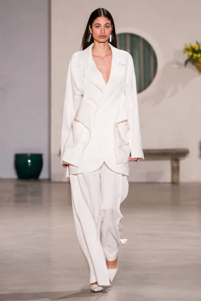 Look 27